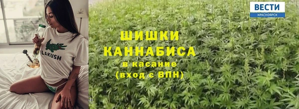 ГАЛЛЮЦИНОГЕННЫЕ ГРИБЫ Алзамай